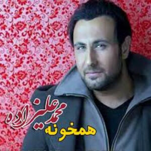 دانلود آهنگ محمد علیزاده گل یاس دانلود آهنگ محمد علیزاده گل یاس