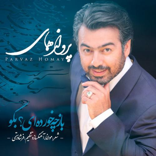دانلود آهنگ پرواز همای باز چه خورده ای بگو دانلود آهنگ پرواز همای باز چه خورده ای بگو