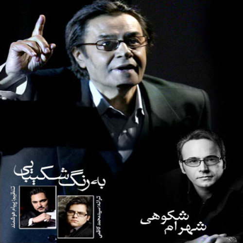 دانلود آهنگ شهرام شکوهی به رنگ شکیبایی