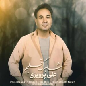 دانلود آهنگ علی پرویزی شاهرگ قلبم دانلود آهنگ علی پرویزی شاهرگ قلبم