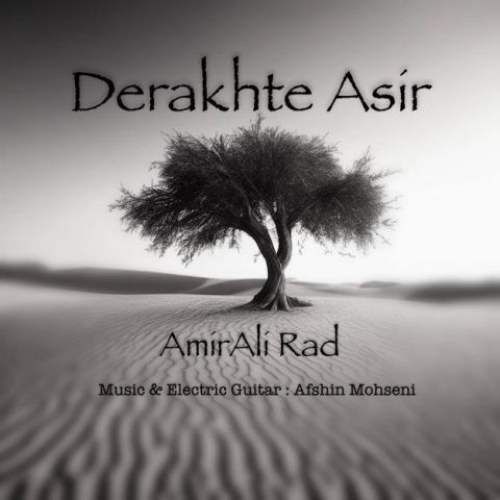 دانلود آهنگ امیرعلی راد درخت اسیر