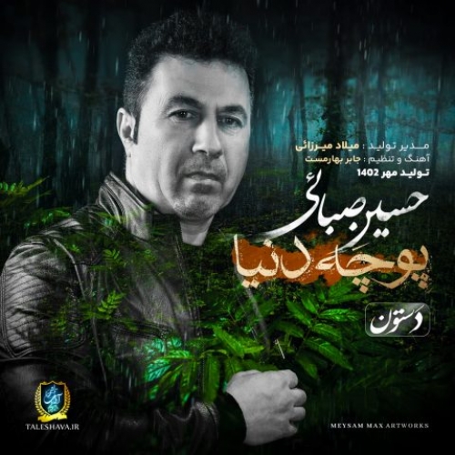 دانلود آهنگ حسین صبائی پوچه دنیا دانلود آهنگ حسین صبائی پوچه دنیا