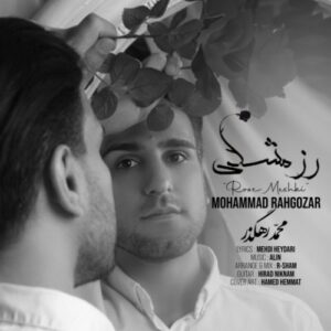دانلود آهنگ محمد رهگذر رز مشکی