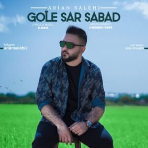 دانلود آهنگ آرین صالحی گل سر سبد