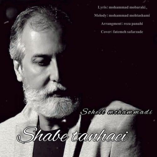 دانلود آهنگ سهیل محمدی شب تنهایی