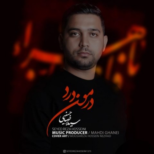 دانلود آهنگ سید رضا حسینی درمون درد