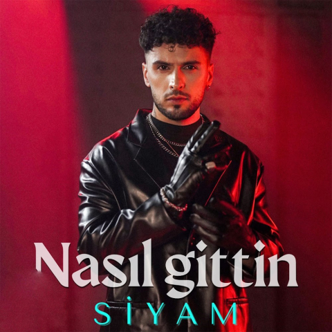 دانلود آهنگ Siyam Nasıl Gittin