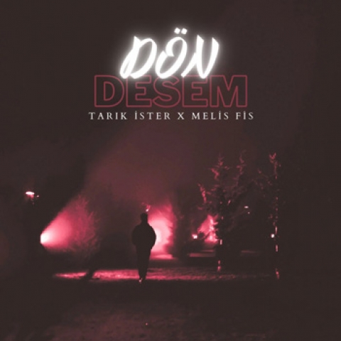دانلود آهنگ Tarık İster & Melis Fis Dön Desem