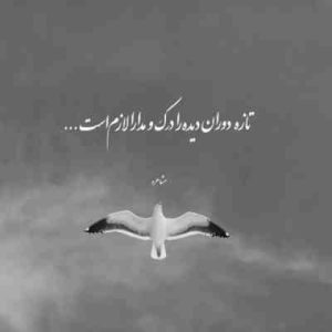 دانلود آهنگ من یه دیوونم وقتشه عاقل شم دانلود آهنگ من یه دیوونم وقتشه عاقل شم