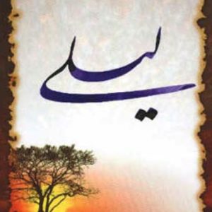 دانلود آهنگ لیلی لیلی لیلی دلربایی خیلی مجتبی زمانی دانلود آهنگ لیلی لیلی لیلی دلربایی خیلی مجتبی زمانی