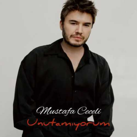 دانلود آهنگ Mustafa Ceceli Unutamıyorum دانلود آهنگ Mustafa Ceceli Unutamıyorum