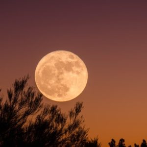 دانلود آهنگ خارجی من میگم من اوه من عزیزم این شب منه دانلود آهنگ خارجی من میگم من اوه من عزیزم این شب منه
