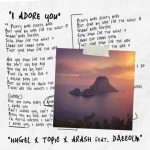 دانلود آهنگ HUGEL x Topic x Arash I Adore You (feat. Daecolm)
