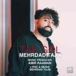 دانلود آهنگ مهرداد تاجیک تک گل