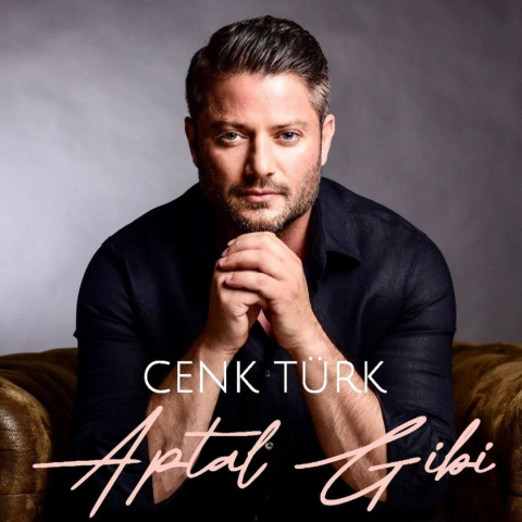 دانلود آهنگ Cenk Türk Aptal Gibi