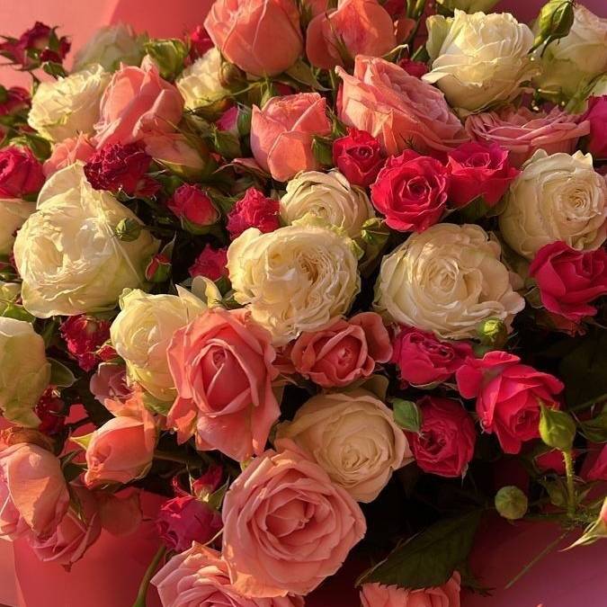 دانلود اهنگ دلت تنگه واسه قبلن میگی بسه باشه برگرد