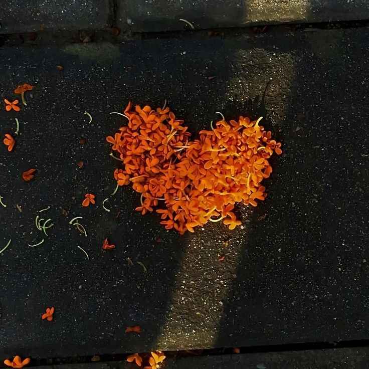 دانلود اهنگ ﻣﻴﮕﻦ راﺑﻄﻪ ﻣﺎ دوﺗﺎ ﻳﻪ ﺟﻨﮕﻪ از دور ﻛﺪره زﺷﺘﻪ ﺑﺪ رﻧﮕﻪ