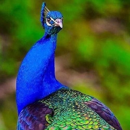 دانلود اهنگ تو این دنیای محدود با نگات