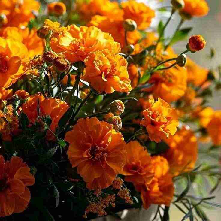 دانلود اهنگ تو خودم گیر میکنم به تو گیر نمیدم