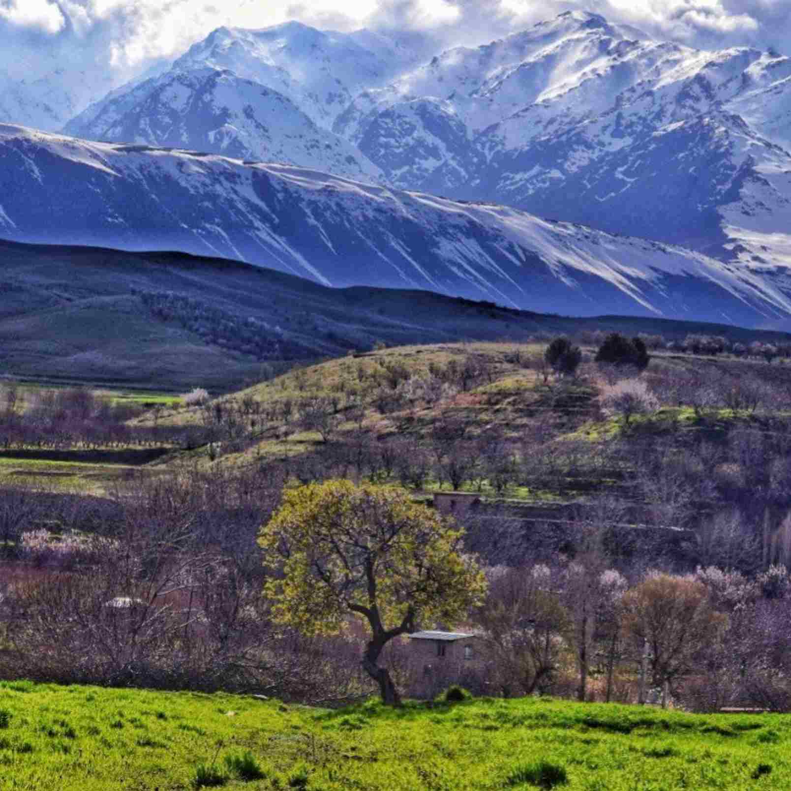 دانلود اهنگ  دختر عمو جان ناز نکن تو خیلی ماهی