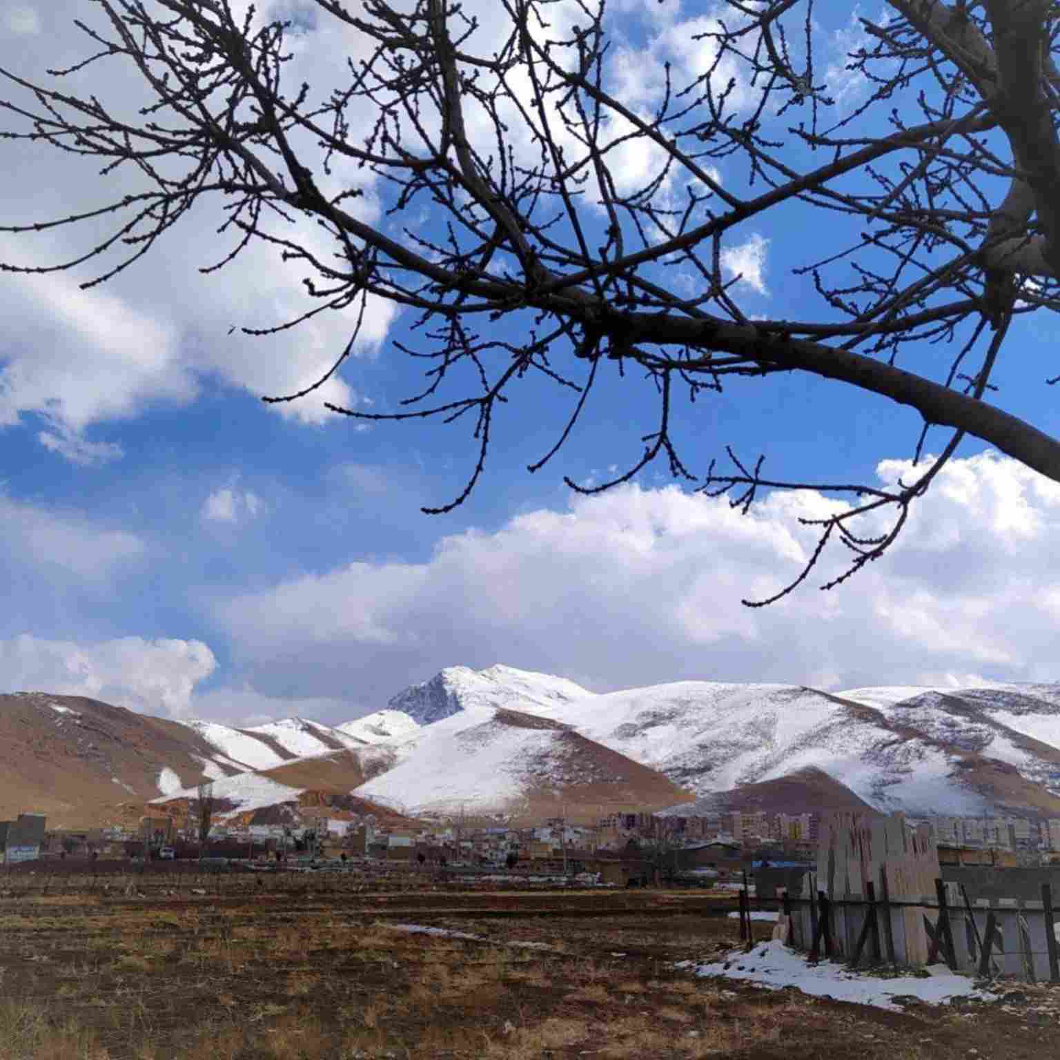 دانلود اهنگ خواهم که شبی از غم تو درد دل میخانه روم