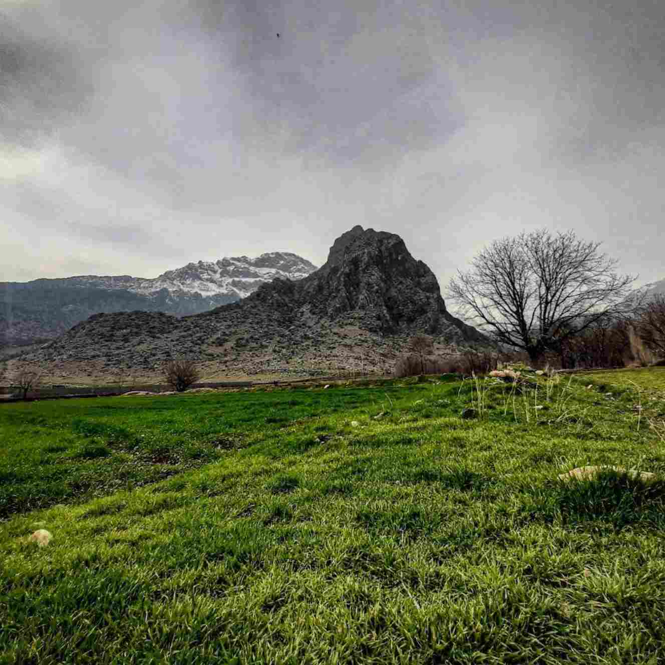 دانلود اهنگ  نفست اخی ری گردنم جونم