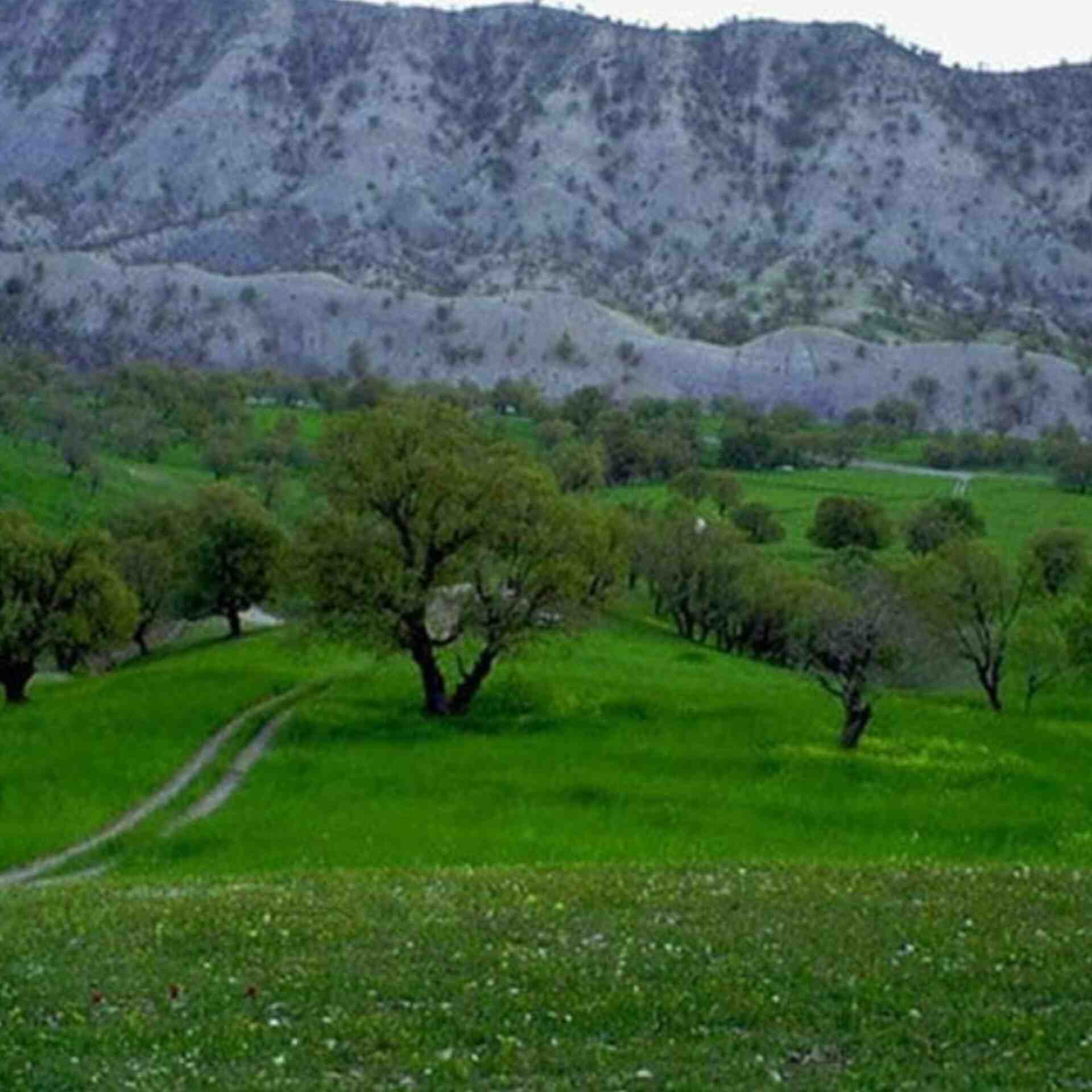دانلود اهنگ دیجی یالنیز آنا بیر قیز بیندیم