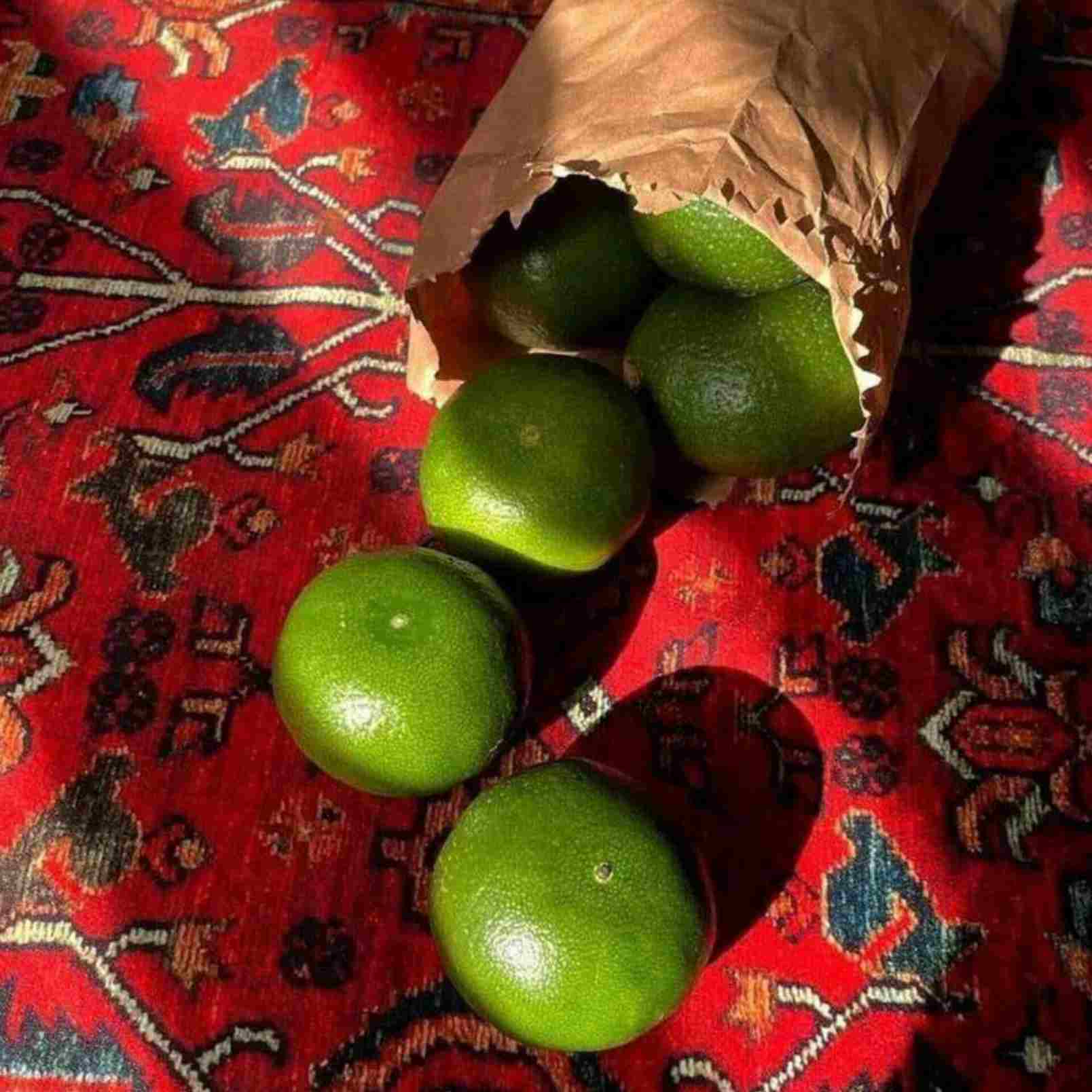 دانلود اهنگ دیوونم نکن برگرد بری بی تو میگیره رگای قلبم با صدای زن