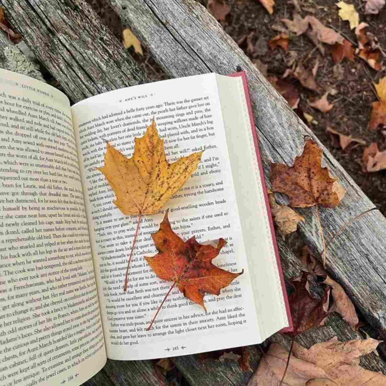 دانلود اهنگ اینجا ایرانه یه گربه هفت هزار ساله