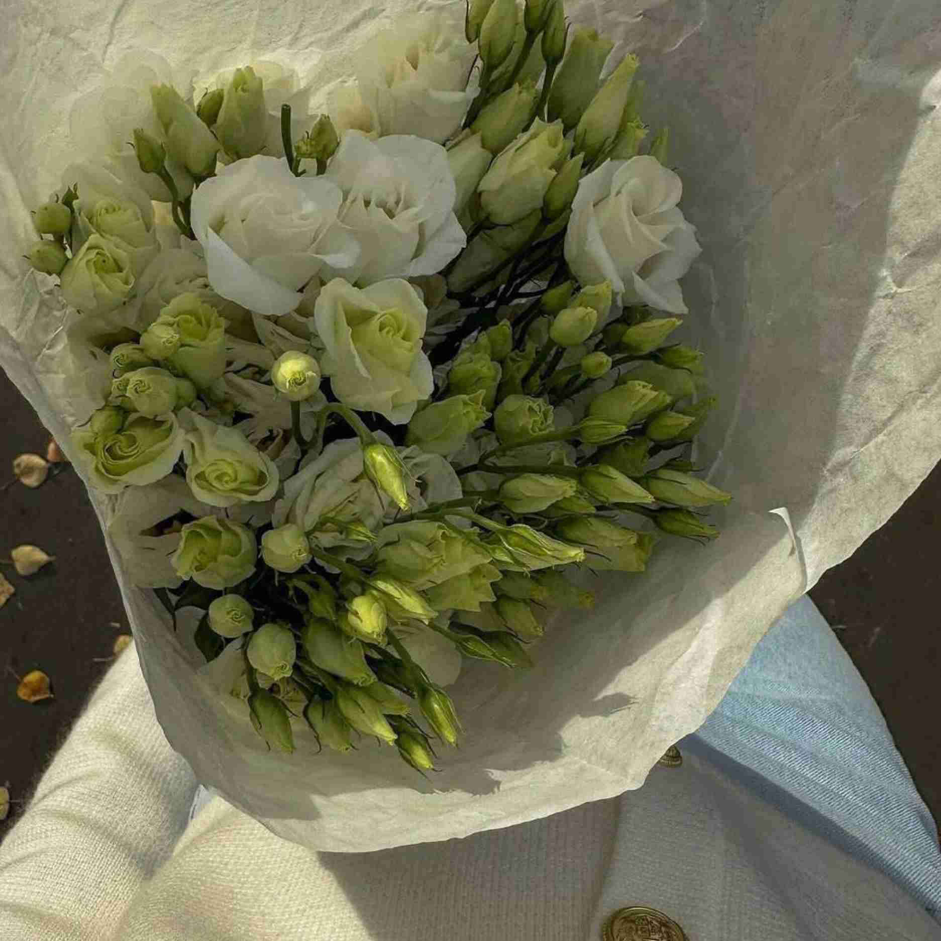 دانلود اهنگ  میشه پرنده باشی اما رها نباشی