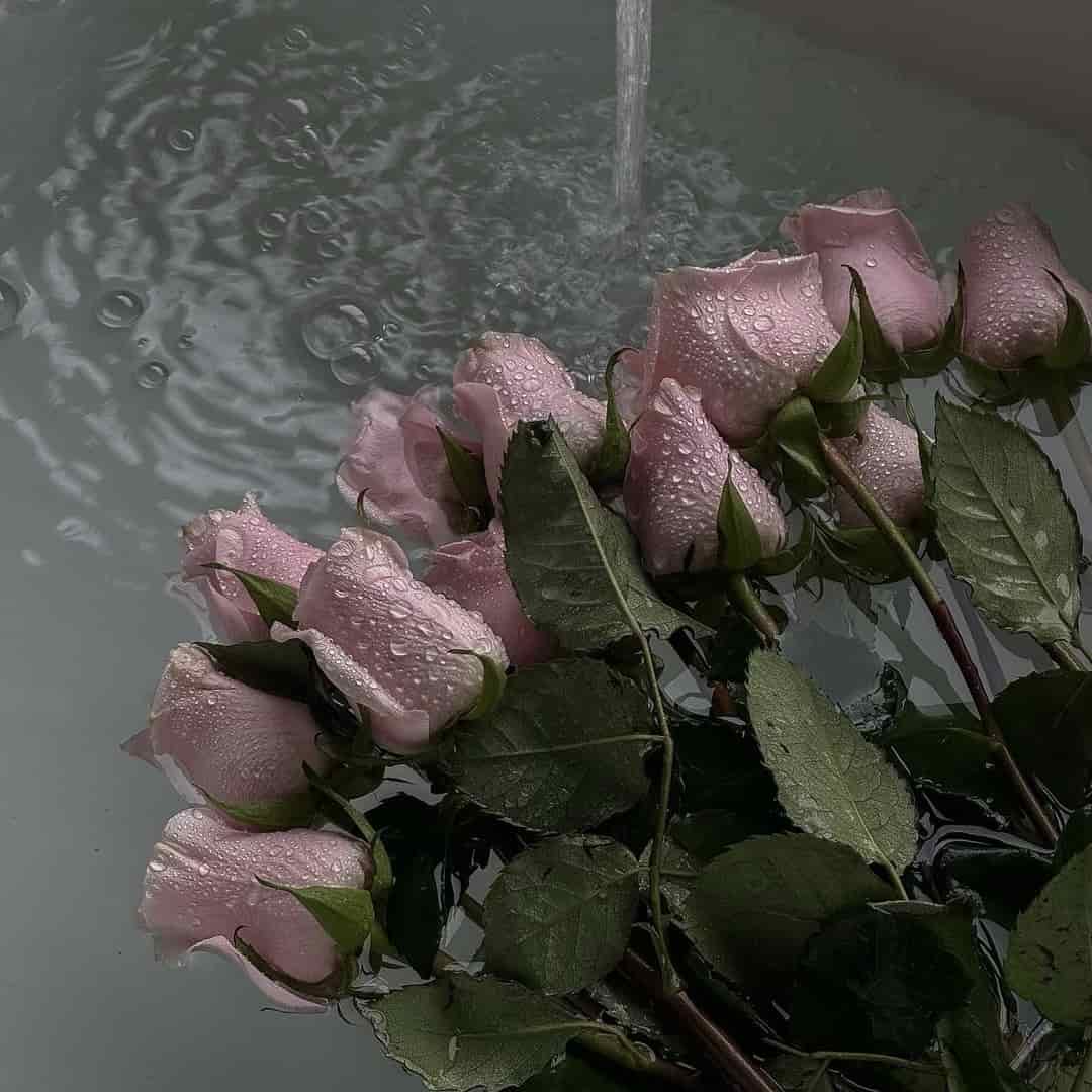 دانلود اهنگ آی تو خراب کردی همه چیزو خودت (ورژن اینستایی)