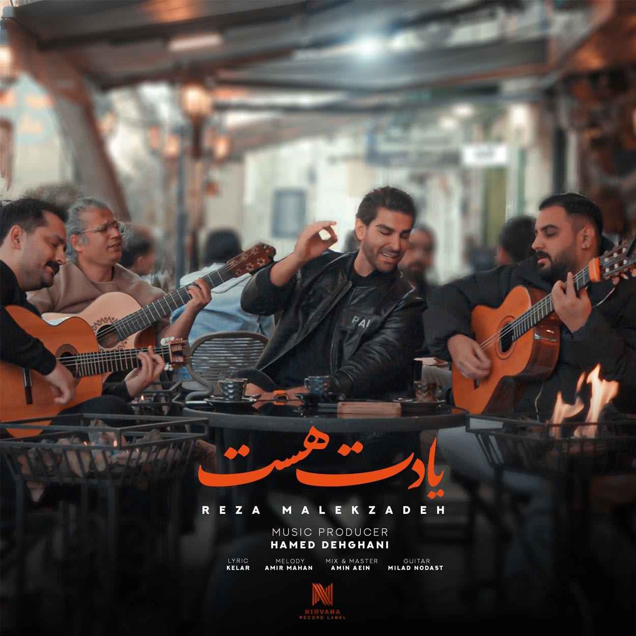 دانلود اهنگ رضا ملک زاده یادت هست