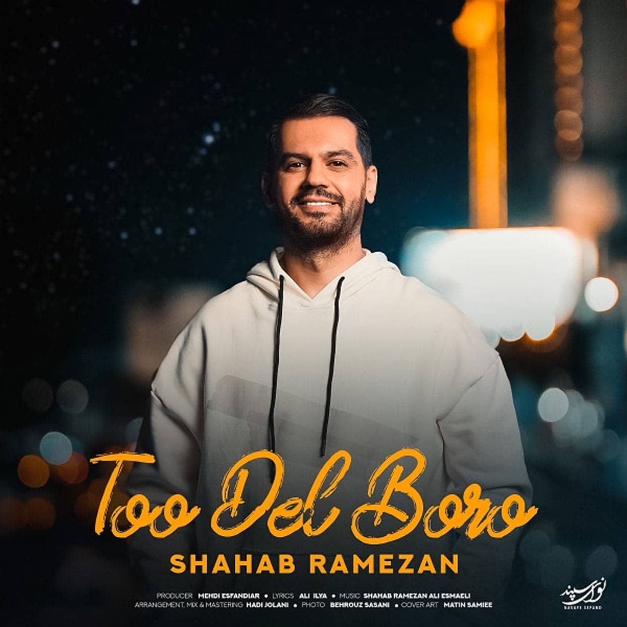 دانلود اهنگ شهاب رمضان تو دل برو