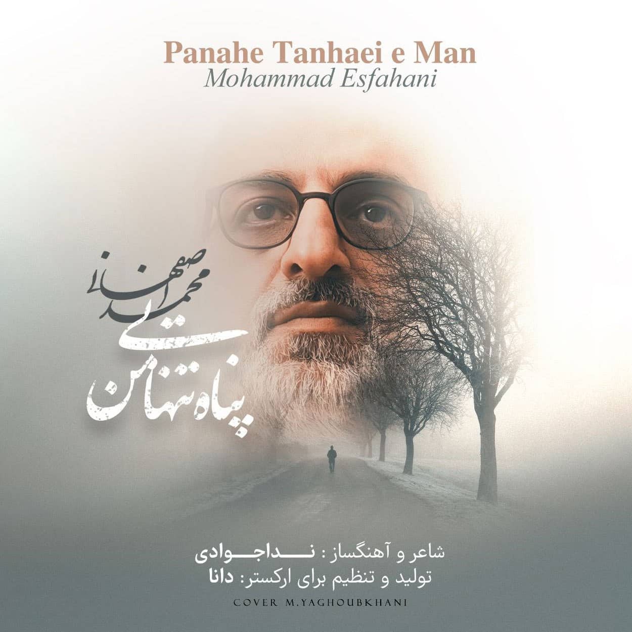دانلود اهنگ محمد اصفهانی پناه تنهایی من