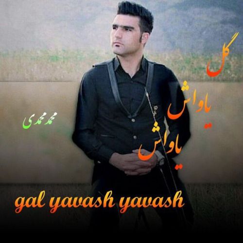 دانلود اهنگ محمد محمدی گل یاواش یاواش