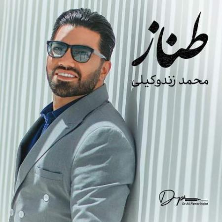 دانلود اهنگ محمد زند وکیلی طناز