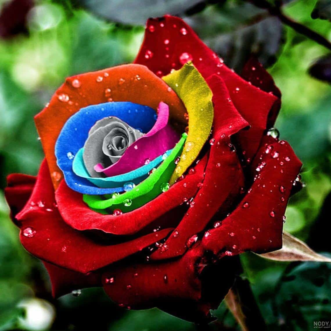 دانلود اهنگ چشای مونده به راهو