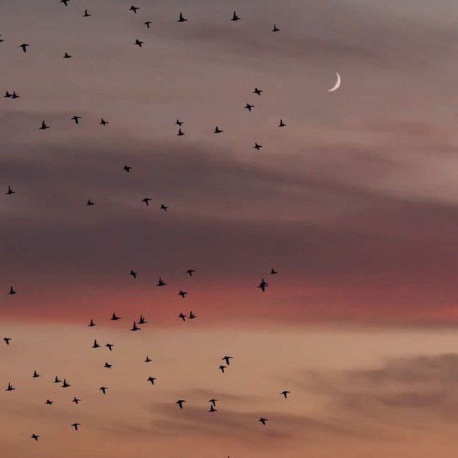 دانلود اهنگ  مینرم آغ ماشینا گدرم داغ باشینا