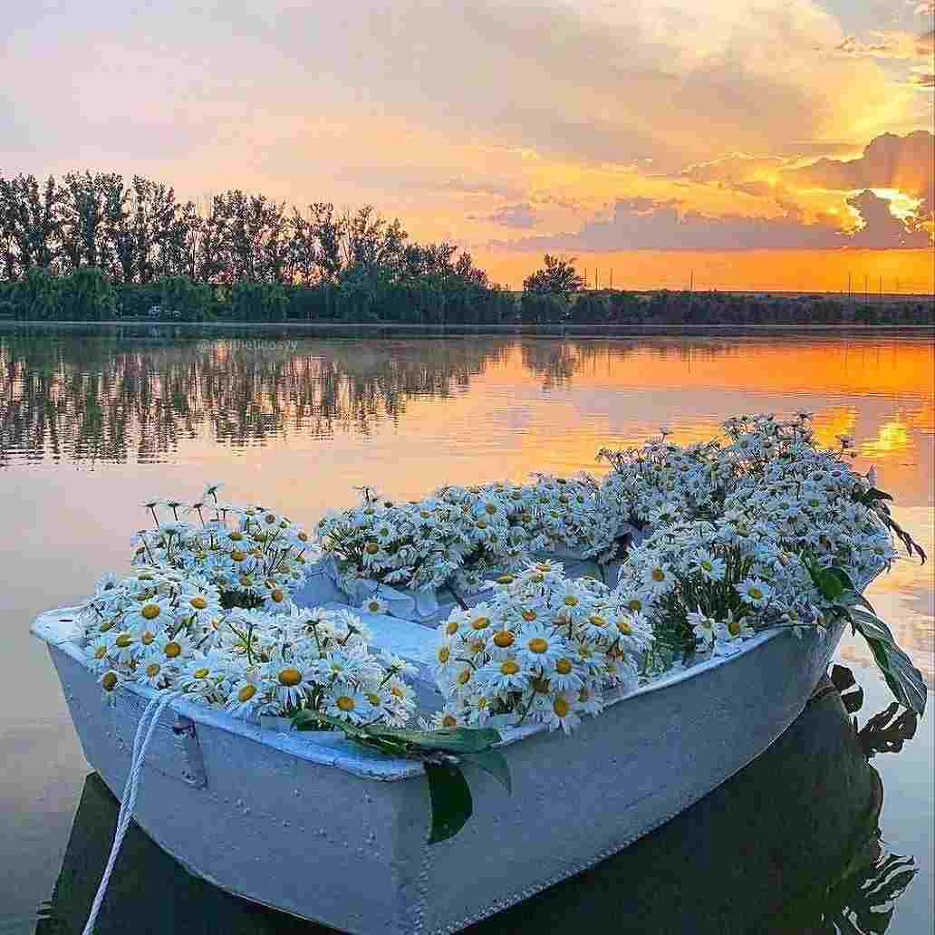 دانلود اهنگ سیمگه تاکسی