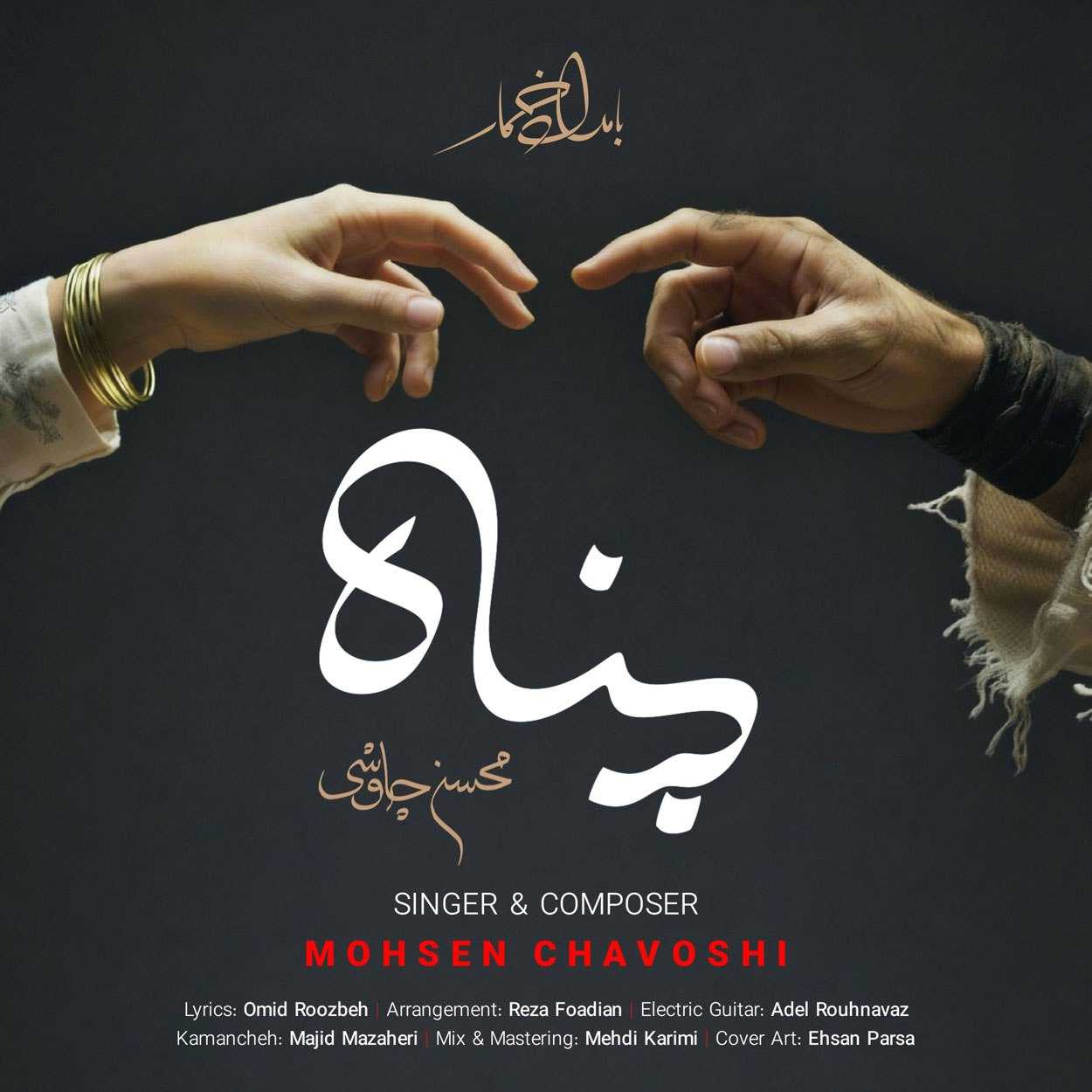 دانلود اهنگ محسن چاوشی از خودم به تو پناه میبرم