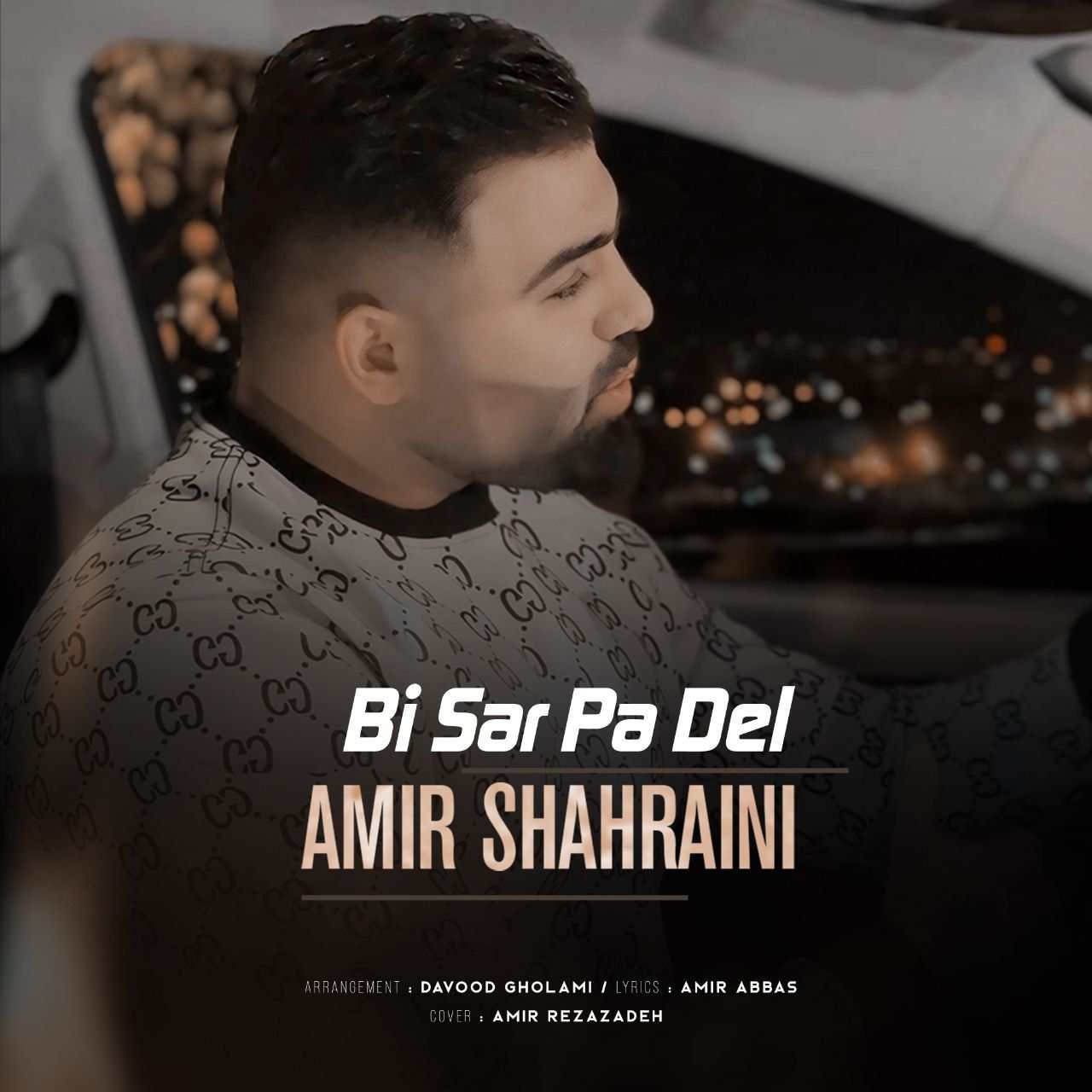 دانلود اهنگ امیر شهرایینی بی سرو پا دل