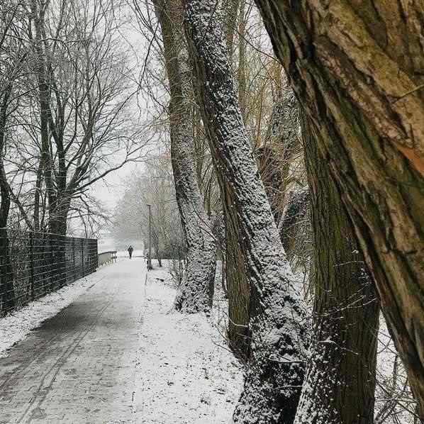 دانلود اهنگ کاش ماله من بودی کاشکی فقط بودیم