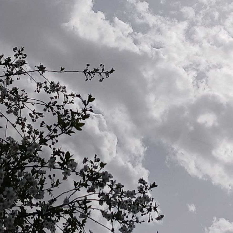 دانلود اهنگ مگرمت مگرمت ماژمته ژیر دست و پا ارواح برام