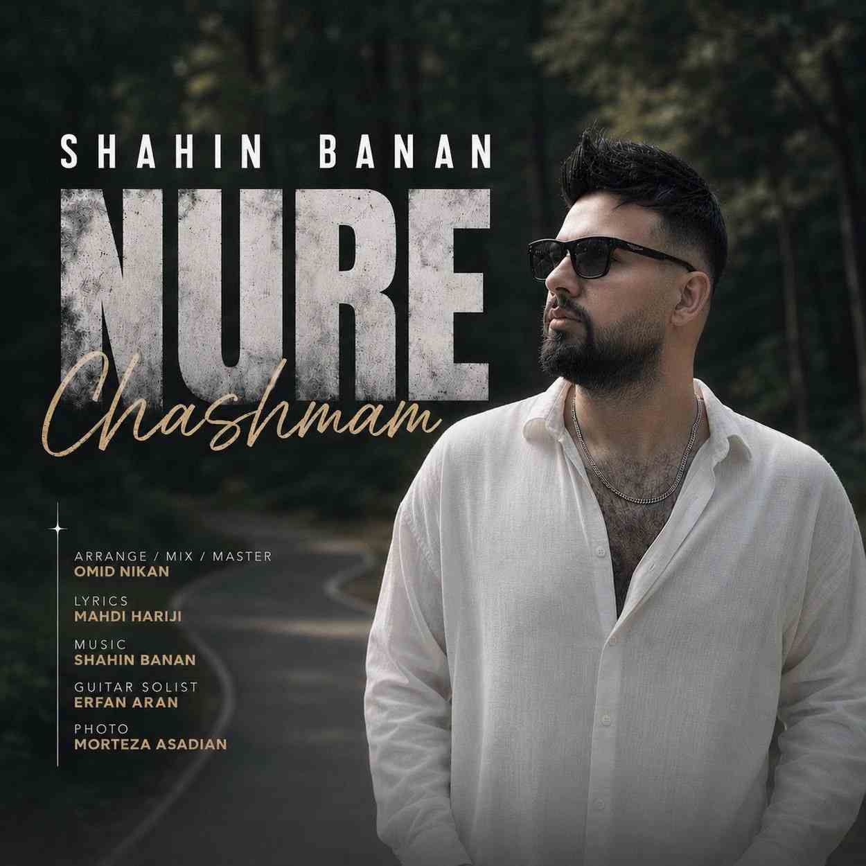 دانلود اهنگ شاهین بنان نور چشمم برگ برندم تویی در شب‌هایم