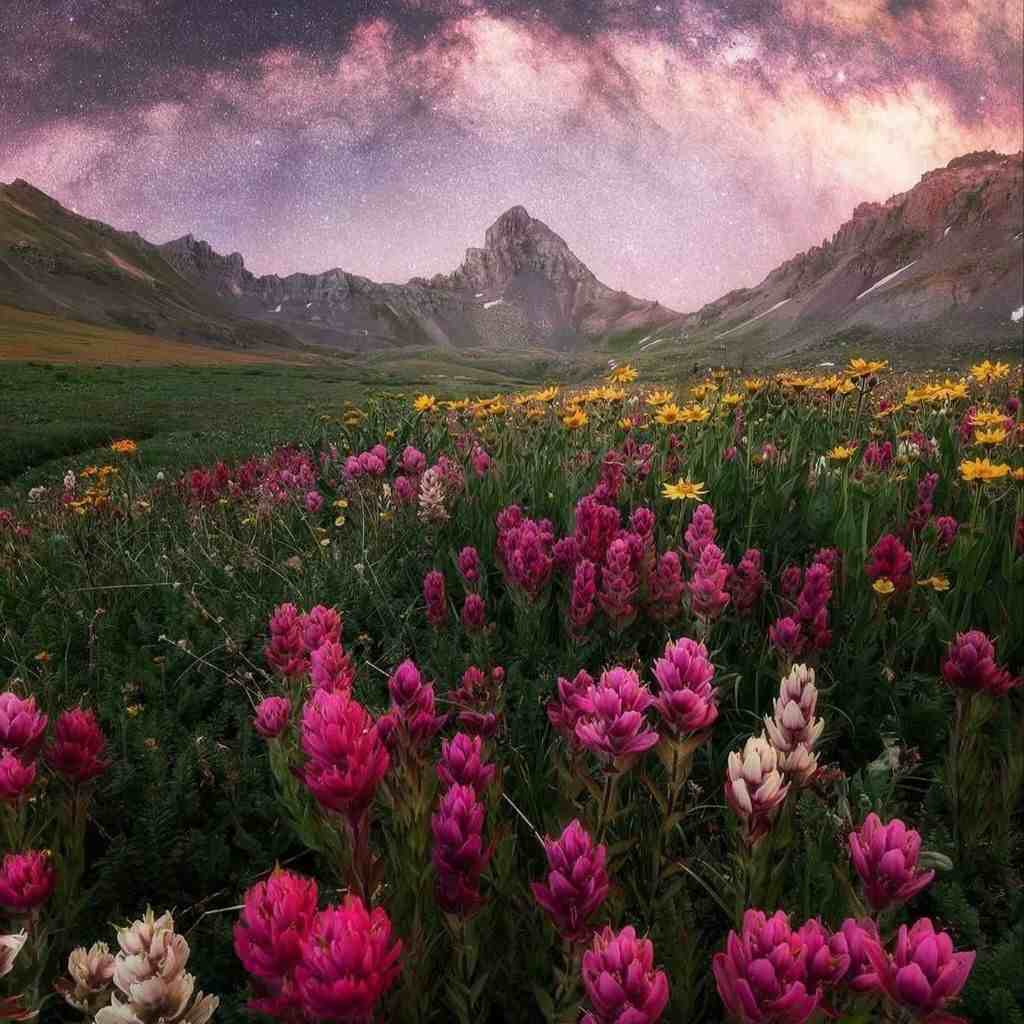 دانلود اهنگ  گله دارم از این دنیای وارونه - هوش مصنوعی