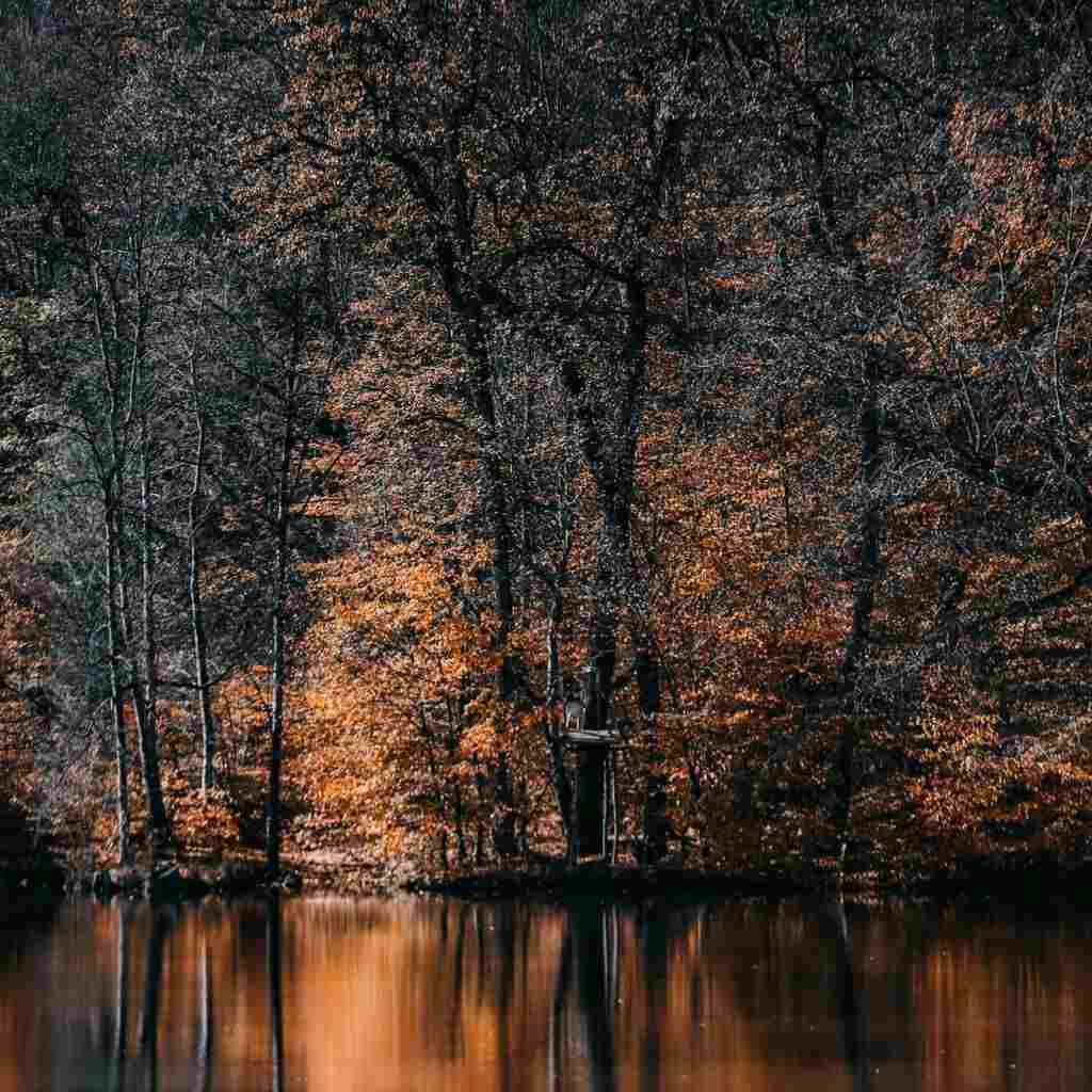 دانلود اهنگ کاش بخوابم شاید تو خوابم بیای آی بانو وای بانو