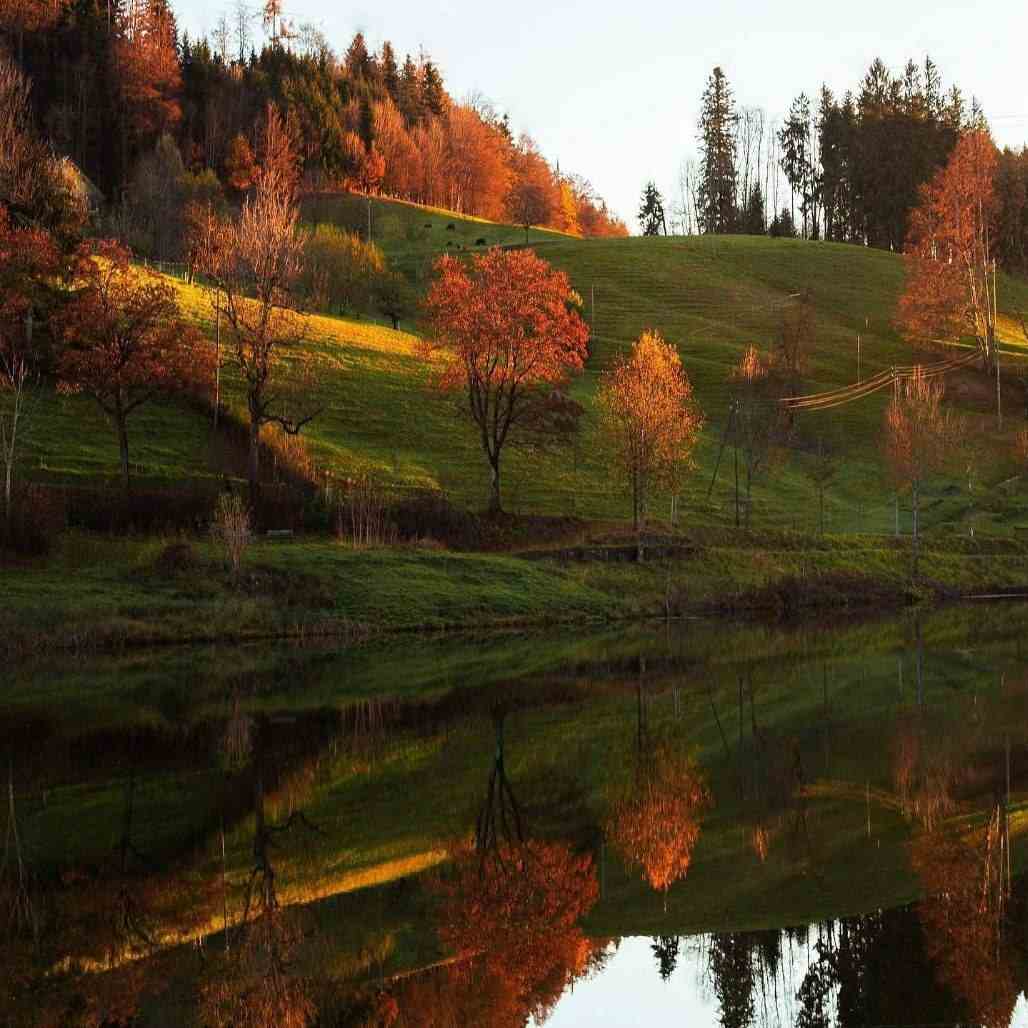 دانلود اهنگ من بجز آبی تیره رنگی دیگه نمیبینم