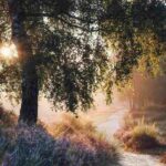 دانلود آهنگ سنی گوردویوم زامان هوش مصنوعی – صدای زن و مرد