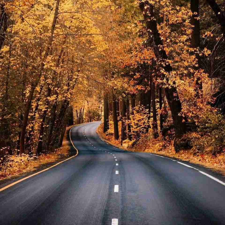 دانلود اهنگ  انقدر زار زدم سرمو به دیوار زدم