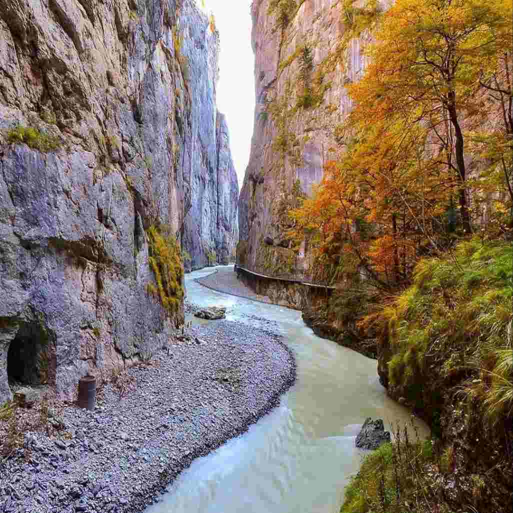 دانلود اهنگ چشمای من جنگلای شماله - هوش مصنوعی